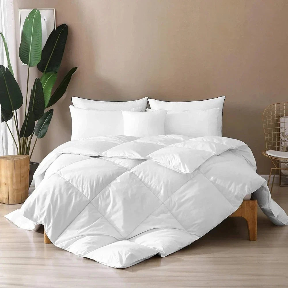 Premium Comfort